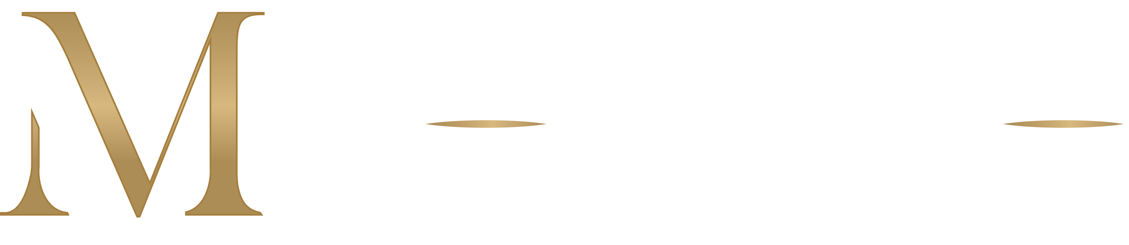 mkLOGOWHITE